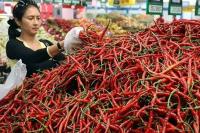 Pasca Idul Adha, di Padangpanjang Harga Cabai Merah Turun