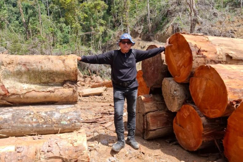 Gubernur dan Polda Sumbar Diminta Hentikan Dugaan Pembalakan di Kawasan Sariak Bayang