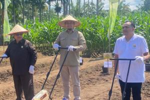 Rahmat Saleh Tegaskan Jagung Bagian dari Upaya Ketahanan Pangan Nasional