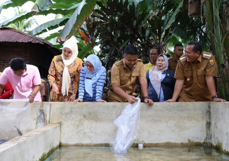 Wagub Sumbar, Vasko Ruseimy melepaskan indukan unggulan ikan lele di dampingi Wali Kota Pariaman, Yota Balad di saalah satu kolam milik kelompok budidaya ikan di Kota Pariaman, Selasa sore (19/8/2025). IST