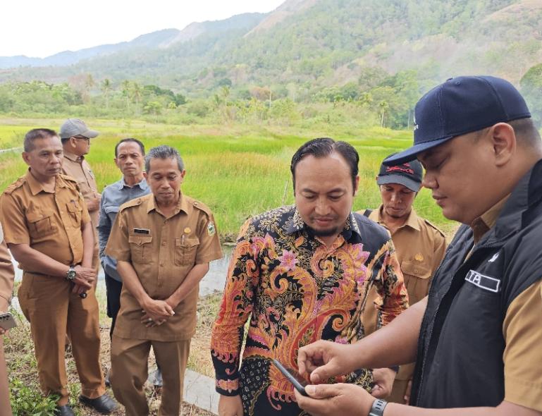 Anggota Komisi IV DPRD RI, Rahmat Saleh melihat kondisi persawahan yang kekeringan di Kecamatan Junjung Sirih, Kabupaten Solok, Selasa (5/8/2025). IST