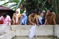 Dukung Produksi Ikan Lele Kota Pariaman, Wagub Sumbar Serahkan 100 Induk Unggul