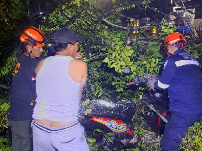 Petugas BPND Padang dibantu warga mengeluarkan motor warga yang tertimpa pohon saat hujan dan badai melanda Kota Padang, Selasa(23/9/2025). IST