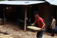 Bupati Limapuluh Kota Dukung Hilirisasi Gambir Dilakukan Kementan