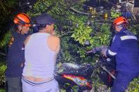 Hujan Lebat Guyur Kota Padang, Pohon Bertumbangan dan Rusak Rumah Serta Motor