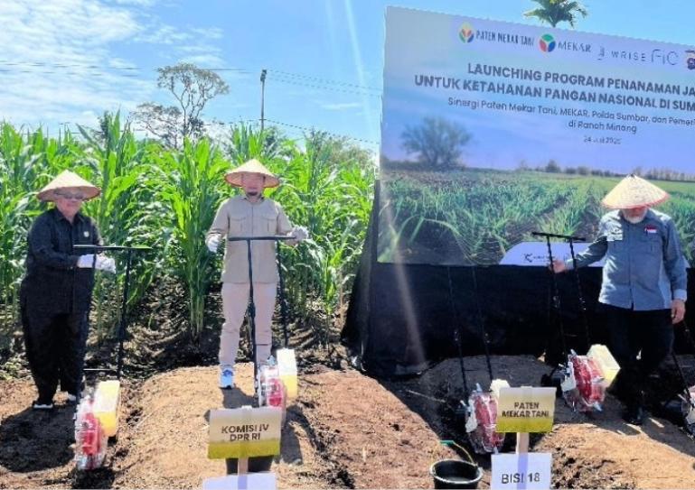 Anggota Komisi IV DPR RI asal Sumbar, Rahmat Saleh saat menghadiri kegiatan penanaman jagung di Sumbar beberapa waktu lalu. IST
