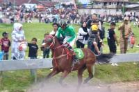 Anak Nagari Pabasko Gelar Pacu Kuda, Perebutkan Piala Gubernur