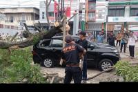 Pohon Tumbang Timpa Mobil Depan Klinik Semen Padang