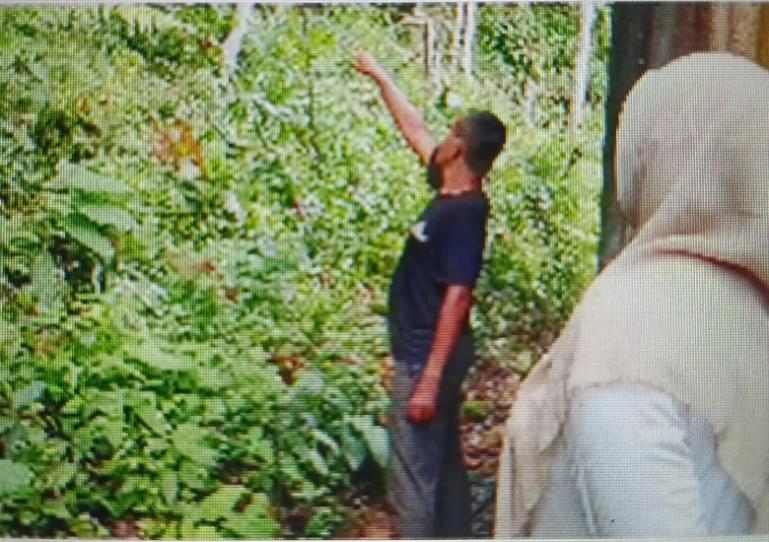 Lurah Pampangan Nan XX, Betty Ernita bersama pihak RT 01 RW 12 lihat kondisi lereng bukit yang rawan longsor di daerah tersebut, Rabu (26/11/2025). IST