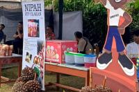 Jejak Nipah dan Cahaya dari Pesisir Padangpariaman