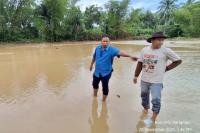 Sekitar 1200 Ha Sawah di Beberapa Lokasi di Kota Pariaman Digenangi Banjir