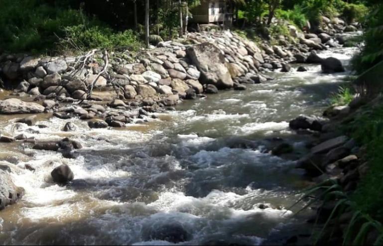 Kondisi aliran sungai Batang Bayang yang ada di Kabupaten Pesisir Selatan. IST