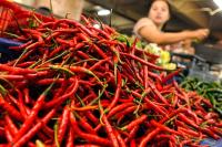 Tiga Jenis Cabai di Padangpanjang Turun Harga, Warga Jadi Lega