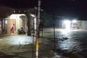 Banjir di Pessel, Satu Rumah Tertimpa  Pohon Sawit, Nagari Ampiang Parak Timur Banjir