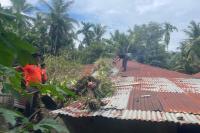 Pohon Durian Tumbang Timpa Rumah Warga di Koto Lalang