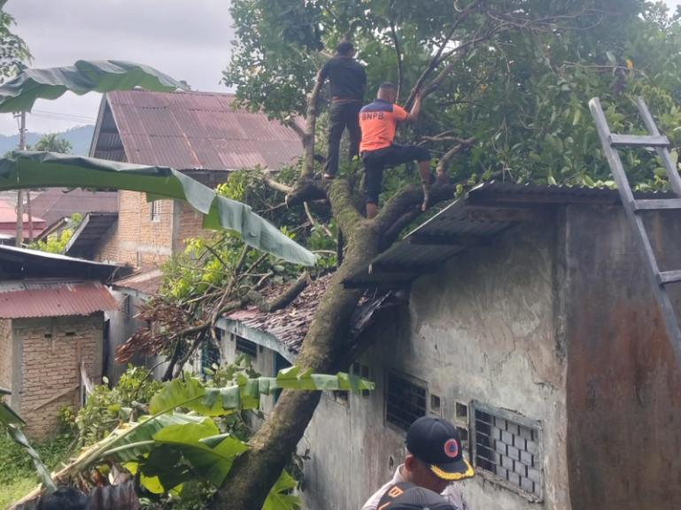 Petugas BPBD Kota Padang dibantu pihak lainnya membersihkan pohon tumbang yang menimpa rumah warga di Kelurahan Mato Aia, Padang Selatan, Jumat (8/5/2026). IST