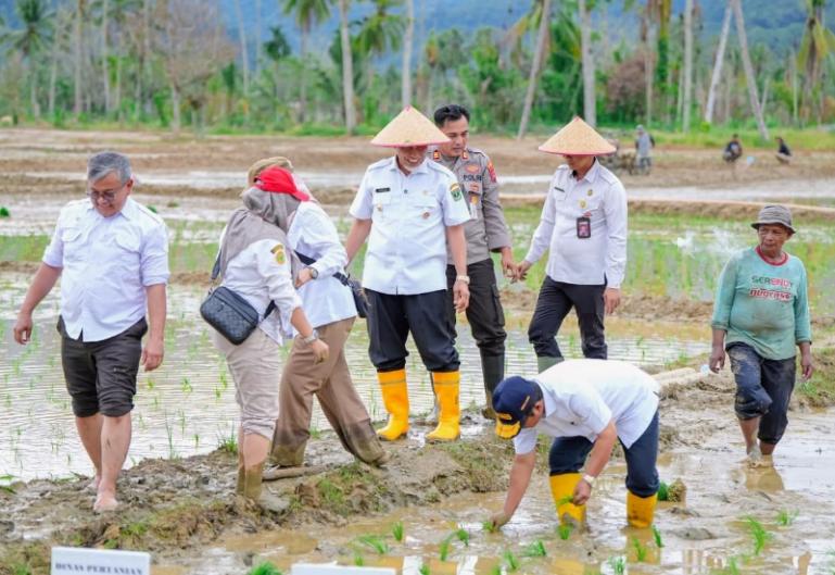 Gubernur Mahyeldi saat hadiri tanam padi serentak di lahan sawah di Korong Tanah Taban, Nagari Pasie Laweh Lubuk Alung, Kecamatan Lubuk Alung, Kabupaten Padangpariaman, Rabu (13/5/2026). IST
