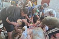 Masjid Thariqatul Jannah Sembelih Delapan Sapi dan Satu Kambing pada Iduladha 1447 H