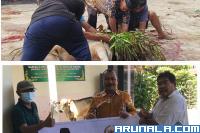 Sapi Bantuan Andre Rosiade Disembelih di Masjid Al Hijriah Siteba