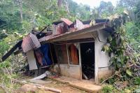 Empat Titik Pohon Tumbang, Satu Rumah Alami Rusak Berat