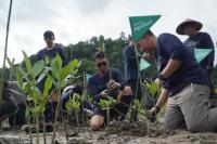 Telkomsel Jaga Bumi Movement Tanam 3000 Pohon Mangrove di Pessel