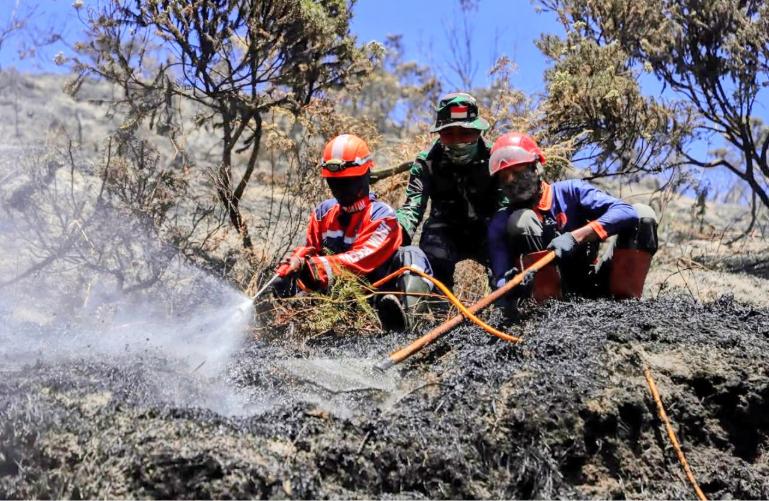 Petugas gabungan melakukan pemadaman dan pendinginan kebakaran hutan dan lahan di wilayah Taman Nasional Bromo Tengger Semeru, Jawa Timur, Rabu (12/8/2026). IST