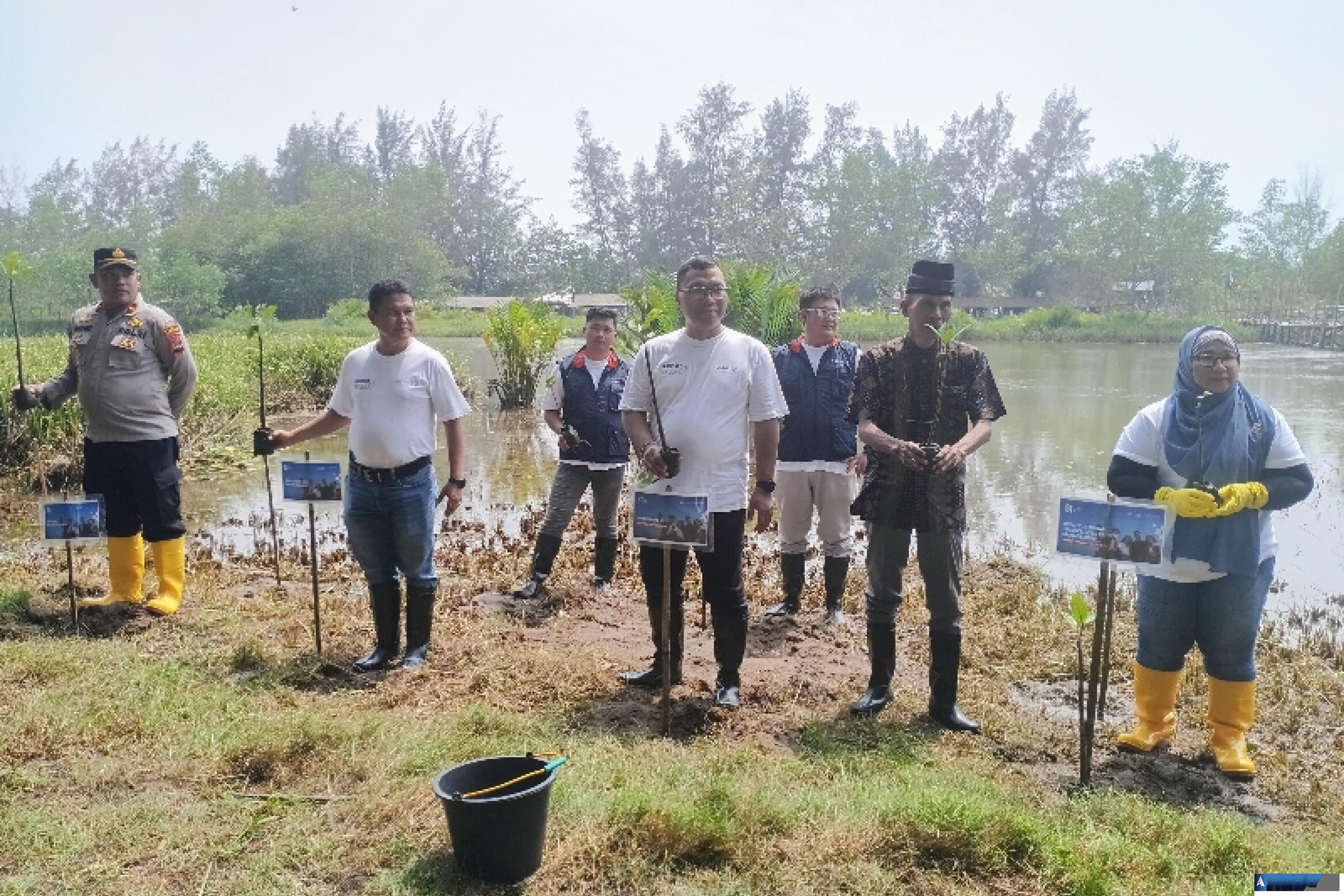 CEO Kantor Regional III, Dwi Ananda Wicaksana bersama unsur  Pemkab Padangpariaman, stakeholder dan tokoh masyarakat setempat tanam bibit mangrove di Pantai Tiram, Kamis siang (13/8/2026). (dok: arunala.com)