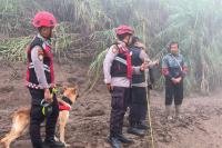 K9 SAR Polda Sumbar Sisir Jalur Air Bah Pencarian Korban Galodo di Kabupaten Solok
