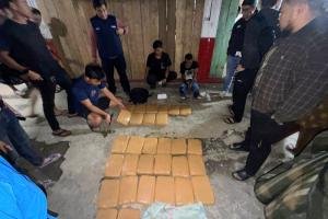 Kejar-kejaran di Agam, BNNP Sumbar Gagalkan Peredaran 29,8 Kg Ganja Lintas Provinsi