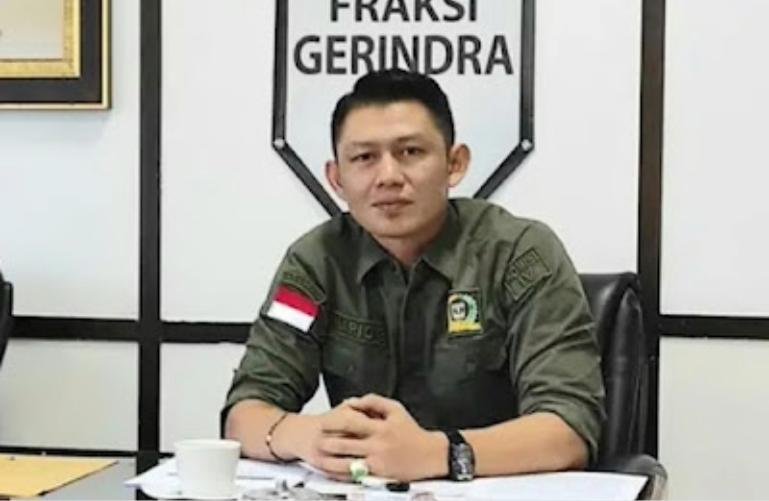 Anggota DPRD Sumbar, Mario Syahjohan. IST