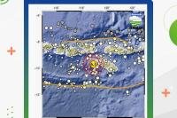 Gempa Magnitudo 6,1 Guncang Sumba Barat Daya, BNPB: Tidak Berpotensi Tsunami