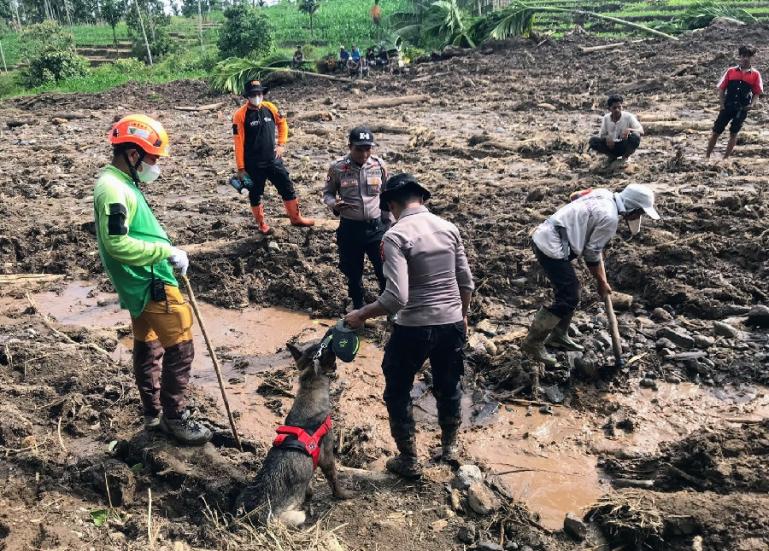 Polda Sumbar Kerahkan Dua Ekor Anjing Pelacak di Lokasi Longsor
