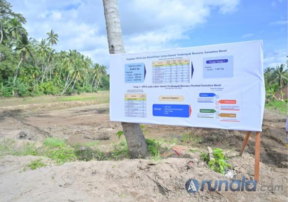 Denah luas areal persawahan yang direhabilitasi Pemprov Sumbar. IST